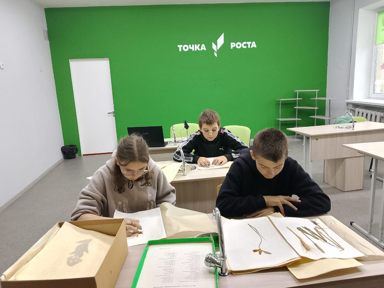 Учащиеся 6 класса на занятии ВД  «Зеленая лаборатория»