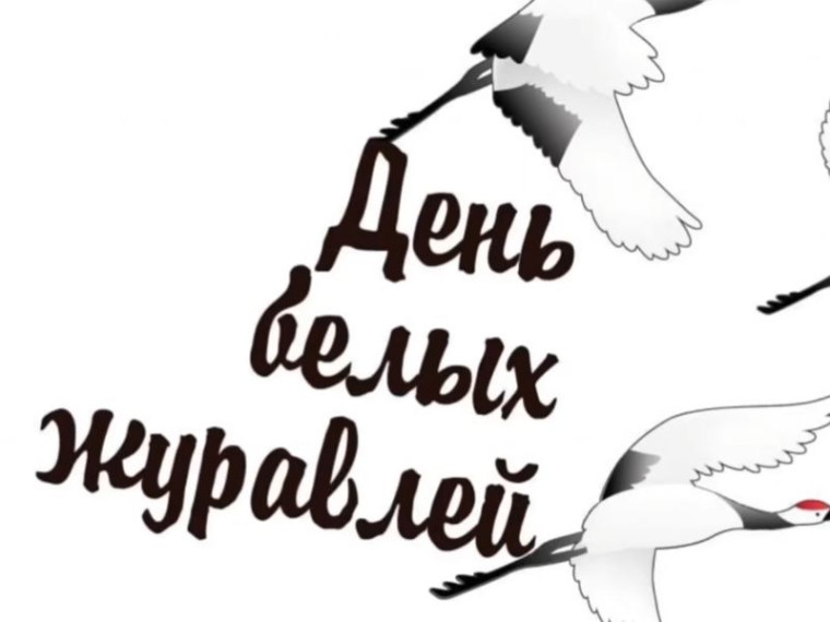 Тематический час "Белые журавли памяти".
