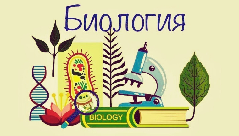 Проекты по биологии.